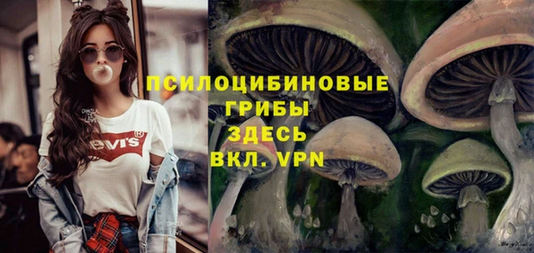 mix Алексин