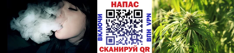 Каннабис MAZAR  Гвардейск 